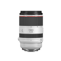 Canon RF 70-200 f2.8 for rent in Bangalore